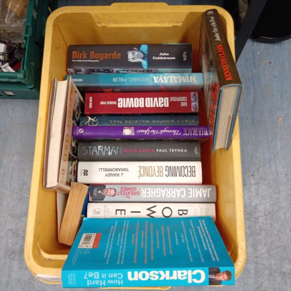 Vintage collection of David Bowie books and paperback novels.