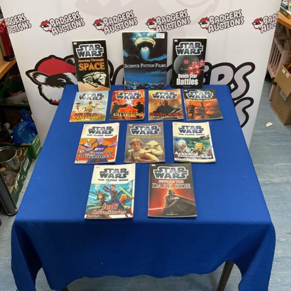 Vintage Star Wars books lot for collectors and fans.