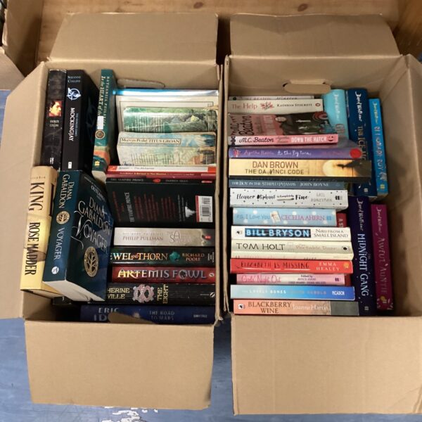 Assorted books lot including Stephen King and Hunger Games series.