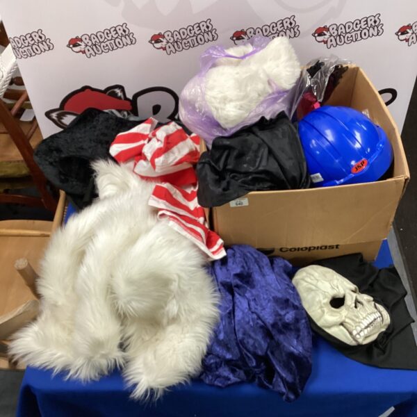 Mixed lot of fancy dress costumes including character outfits.