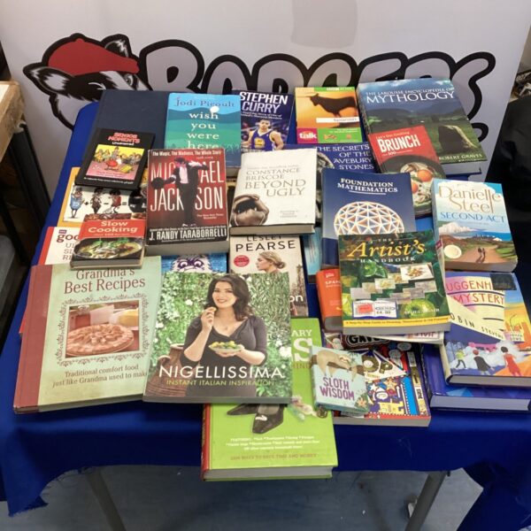 Overview of a mixed book lot with various genres and titles.