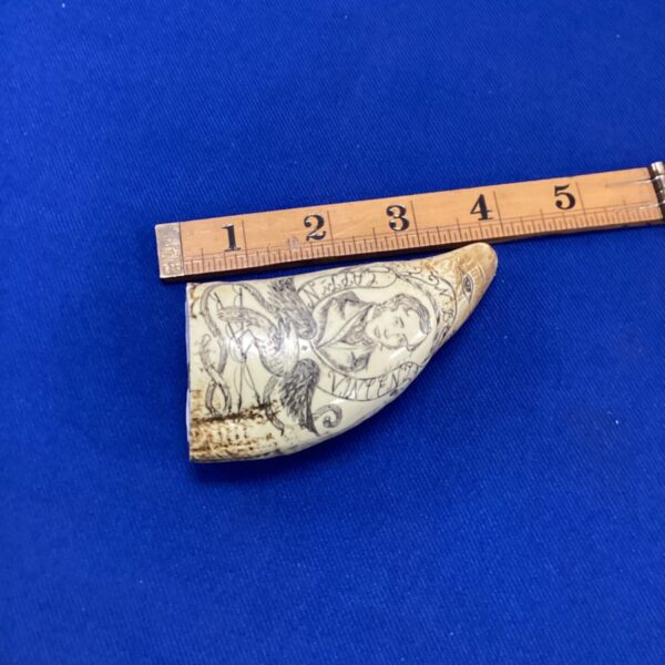 Detailed scrimshaw tooth reproduction signed stenrofjord & captain vincent.