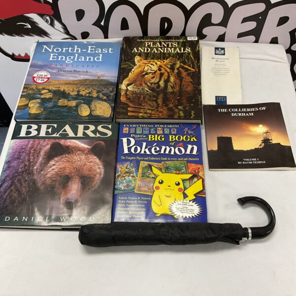 Vintage book lot featuring Pokemon and landscape books.