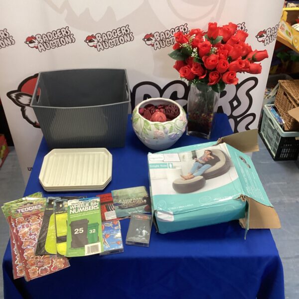 Mixed lot of books, inflatable seat, and decorative items.