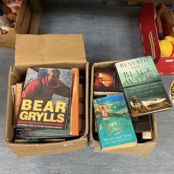 Mixed lot of secondhand books including Bear Grylls titles.