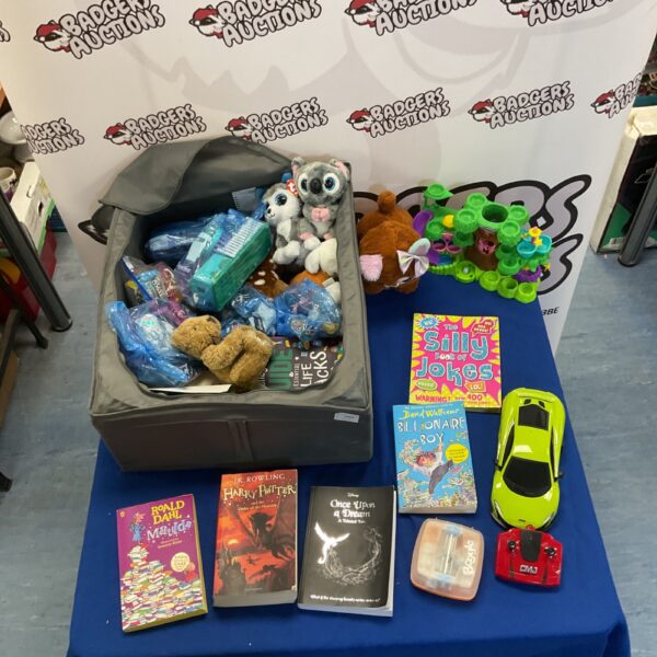 Overview of children's book and toy lot with stuffed animals.