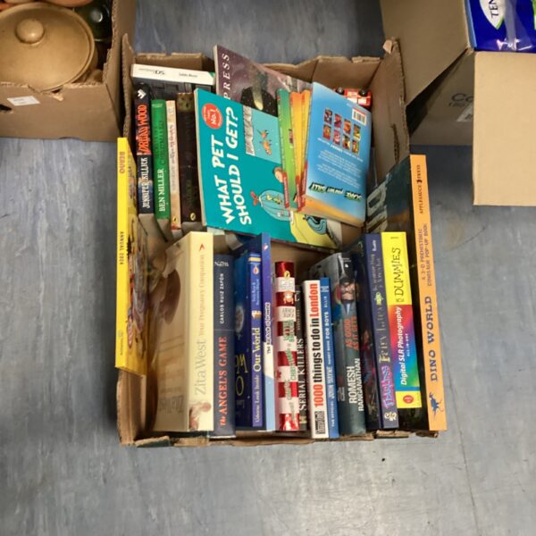 Mixed book lot featuring photography and dinosaur themed books.