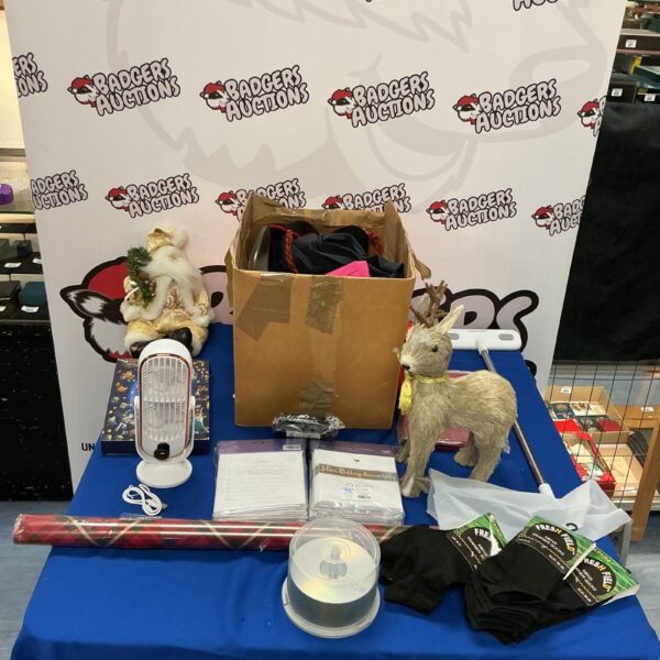 Vintage mixed lot with desk fan and collectibles.