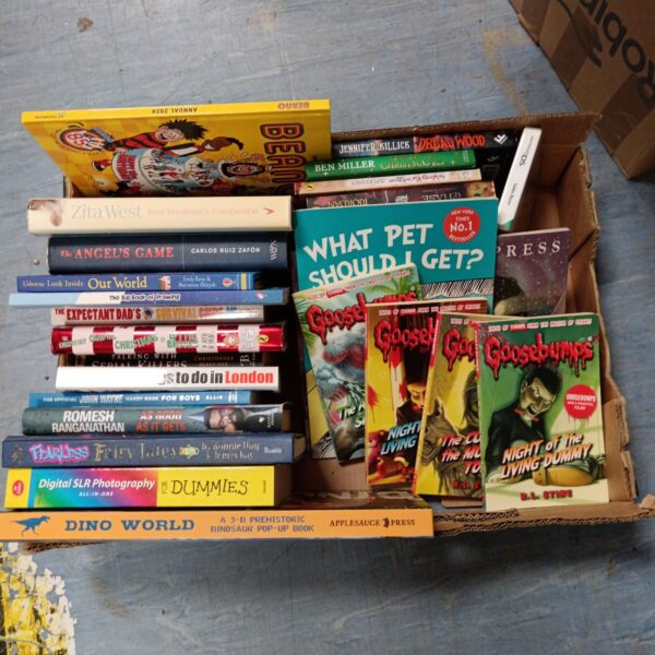 A lot of vintage children's books including Goosebumps series.
