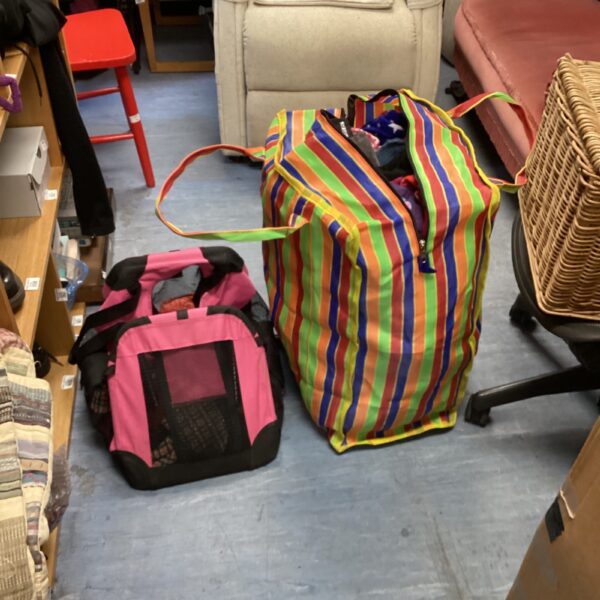 Dog clothing and pink carrier lot for small pets.