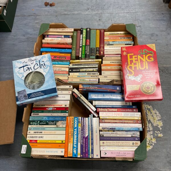 Mixed lot of Feng Shui and Tai Chi books for collectors.